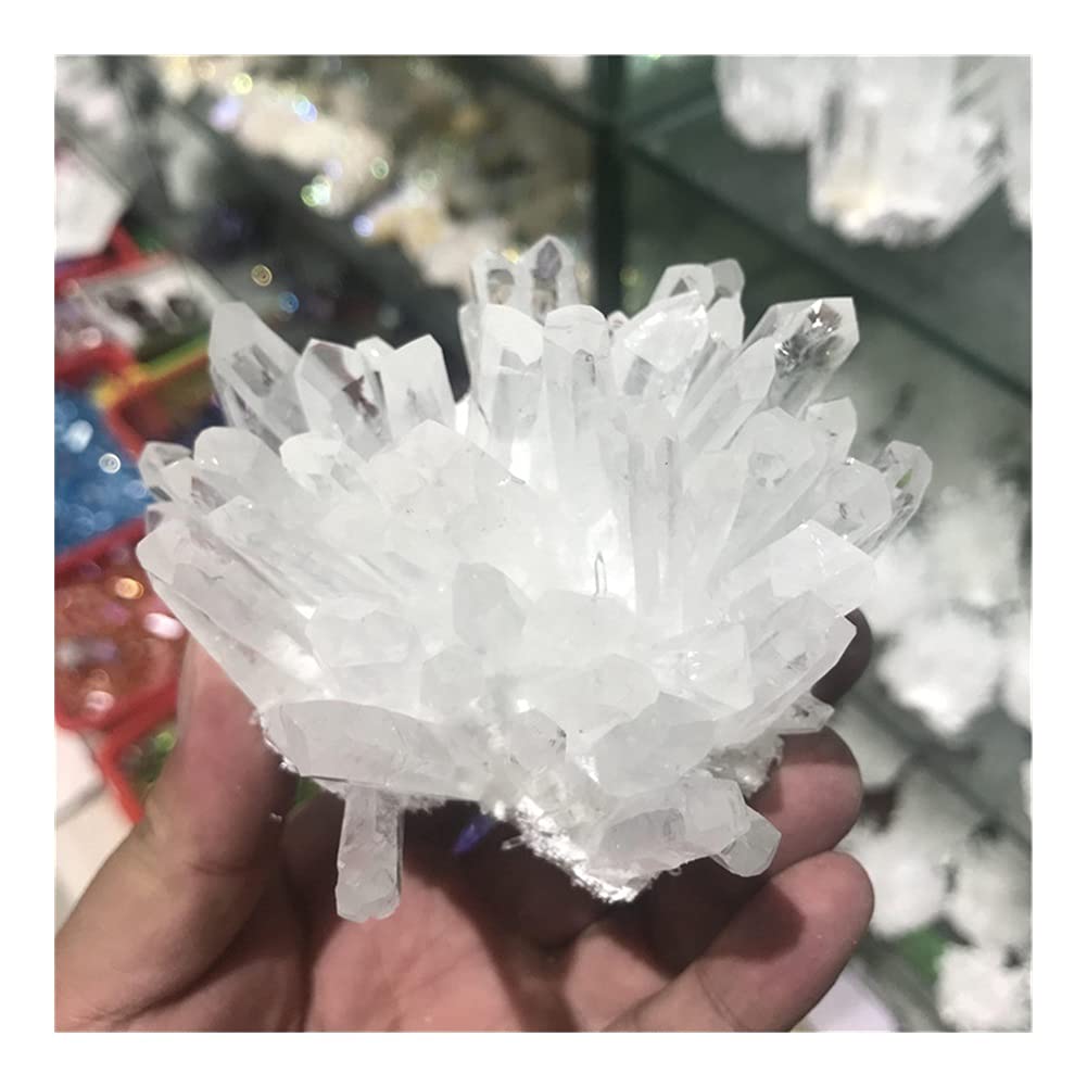 Amazon.co.jp: 天然水晶の原石 400-700g 水晶 透明な水晶クラスター